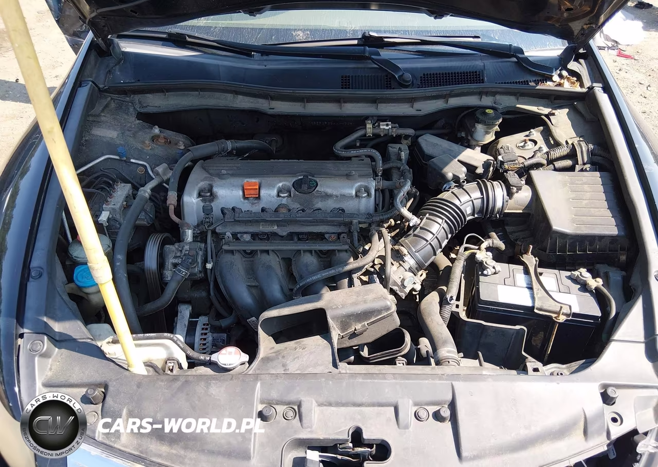 2010 Honda Accord 2.4 Lx VIN:1HGCP2F32AA142384 - 10