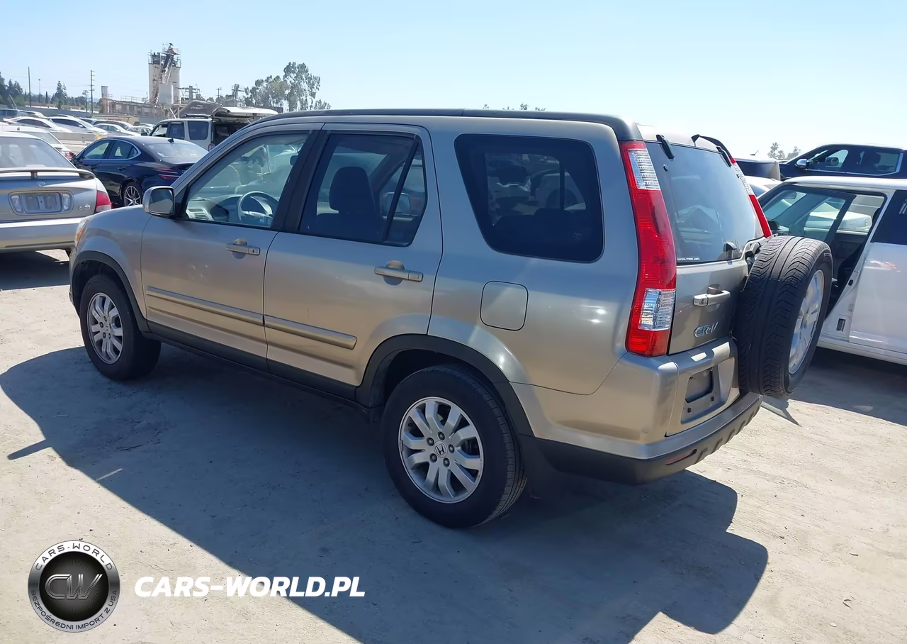 2005 Honda Cr-V Se VIN:JHLRD78905C065494 - 3
