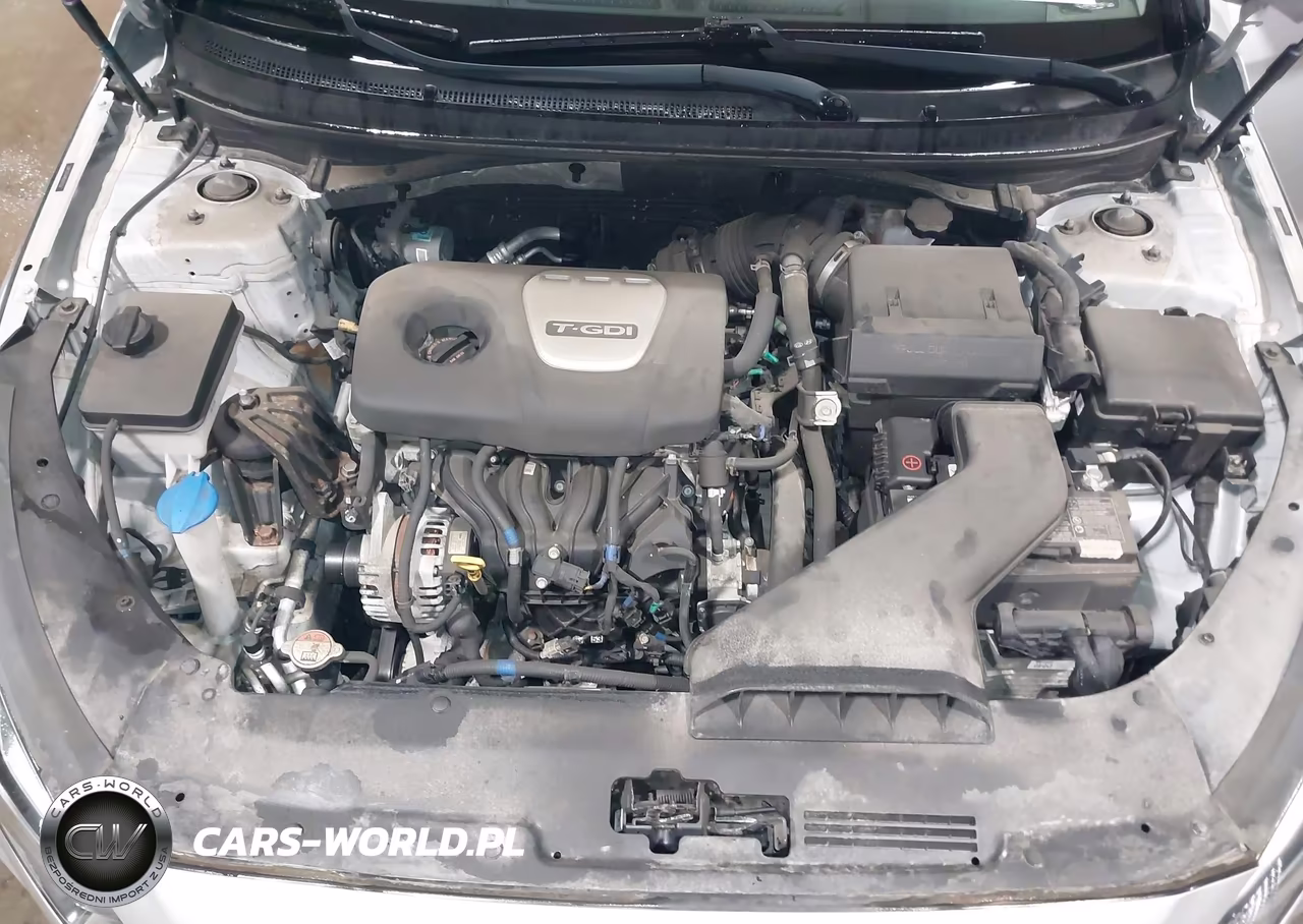 2019 Hyundai Sonata Eco VIN:5NPE24AAXKH803256 - 10