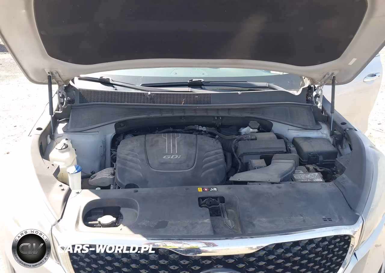 2017 Kia Sorento 3.3L Ex VIN:5XYPHDA50HG322975 - 10