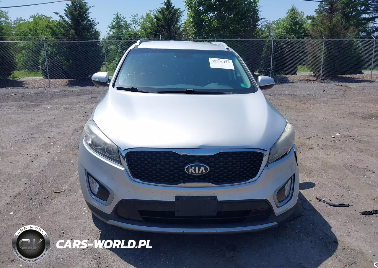 2017 Kia Sorento 3.3L Ex VIN:5XYPHDA50HG322975 - 12