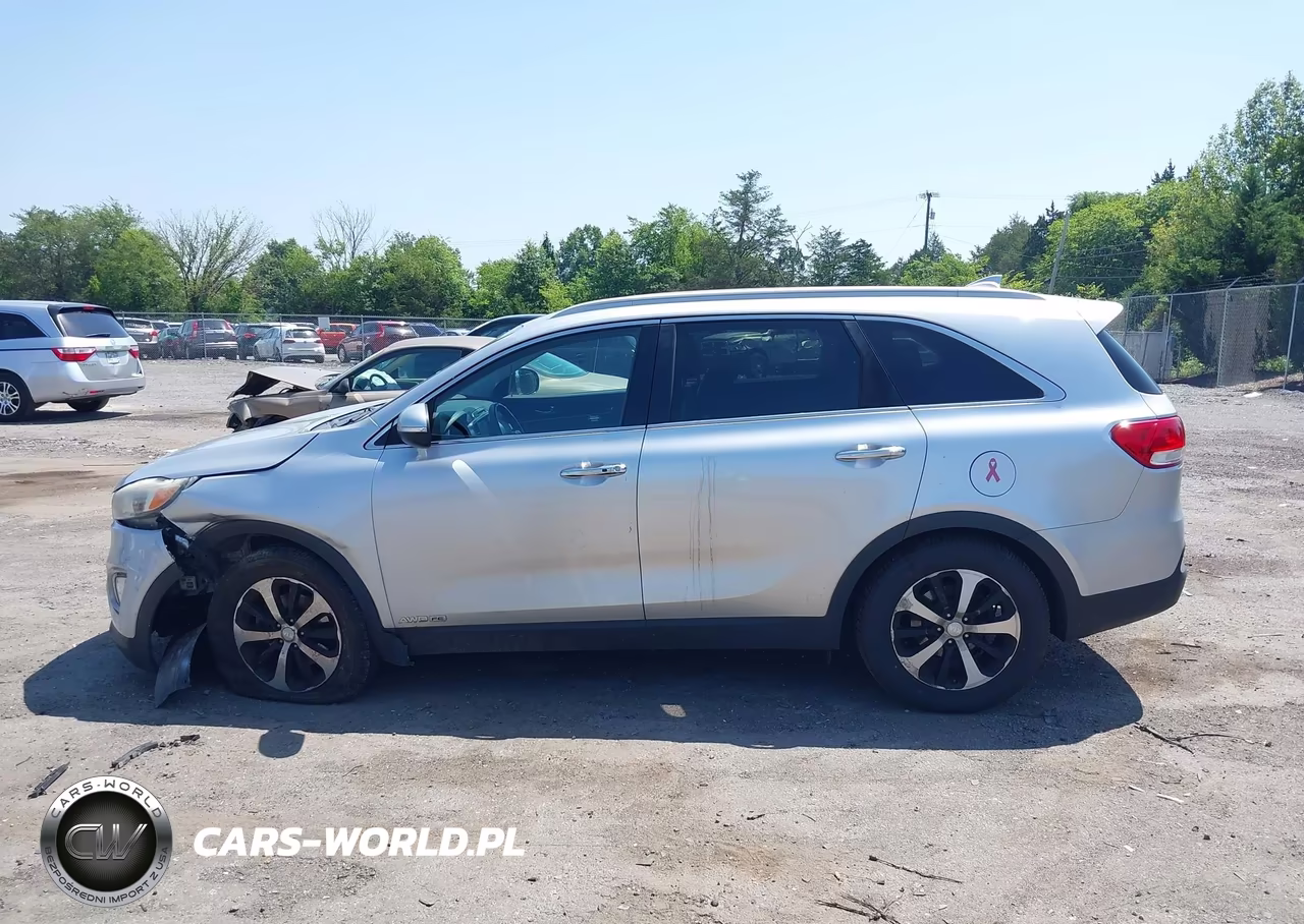 2017 Kia Sorento 3.3L Ex VIN:5XYPHDA50HG322975 - 14