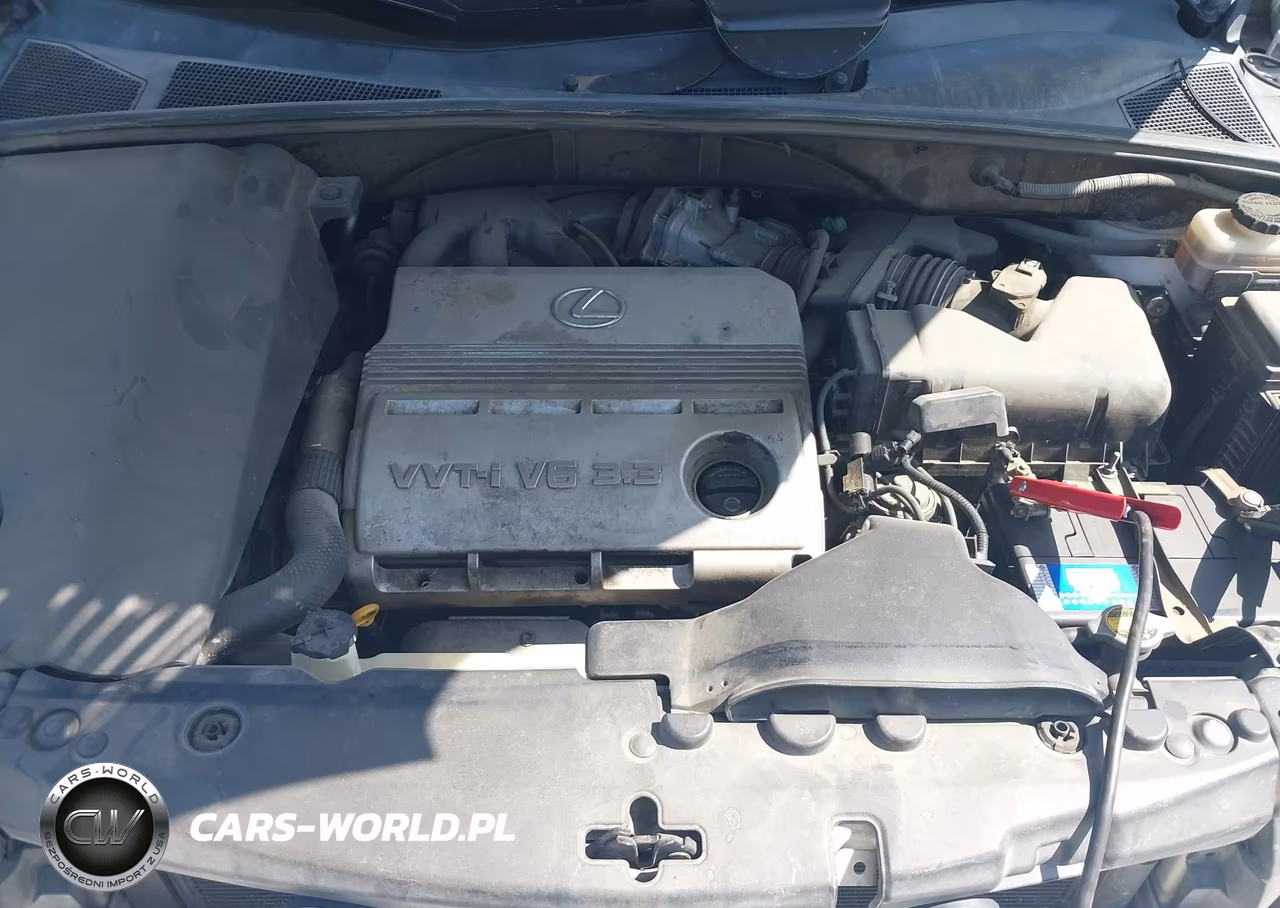 2004 Lexus Rx 330 VIN:JTJGA31U340009809 - 10