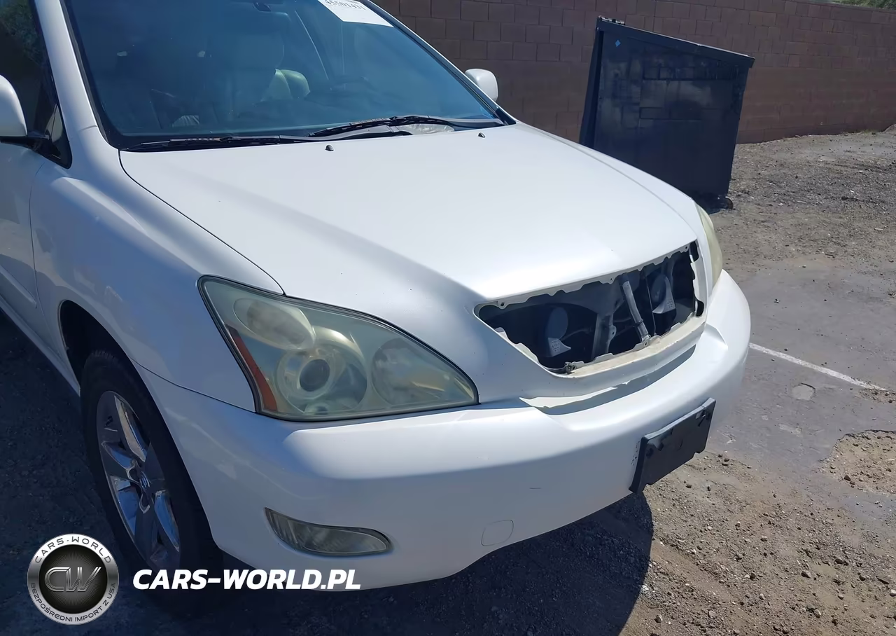2004 Lexus Rx 330 VIN:JTJGA31U340009809 - 13