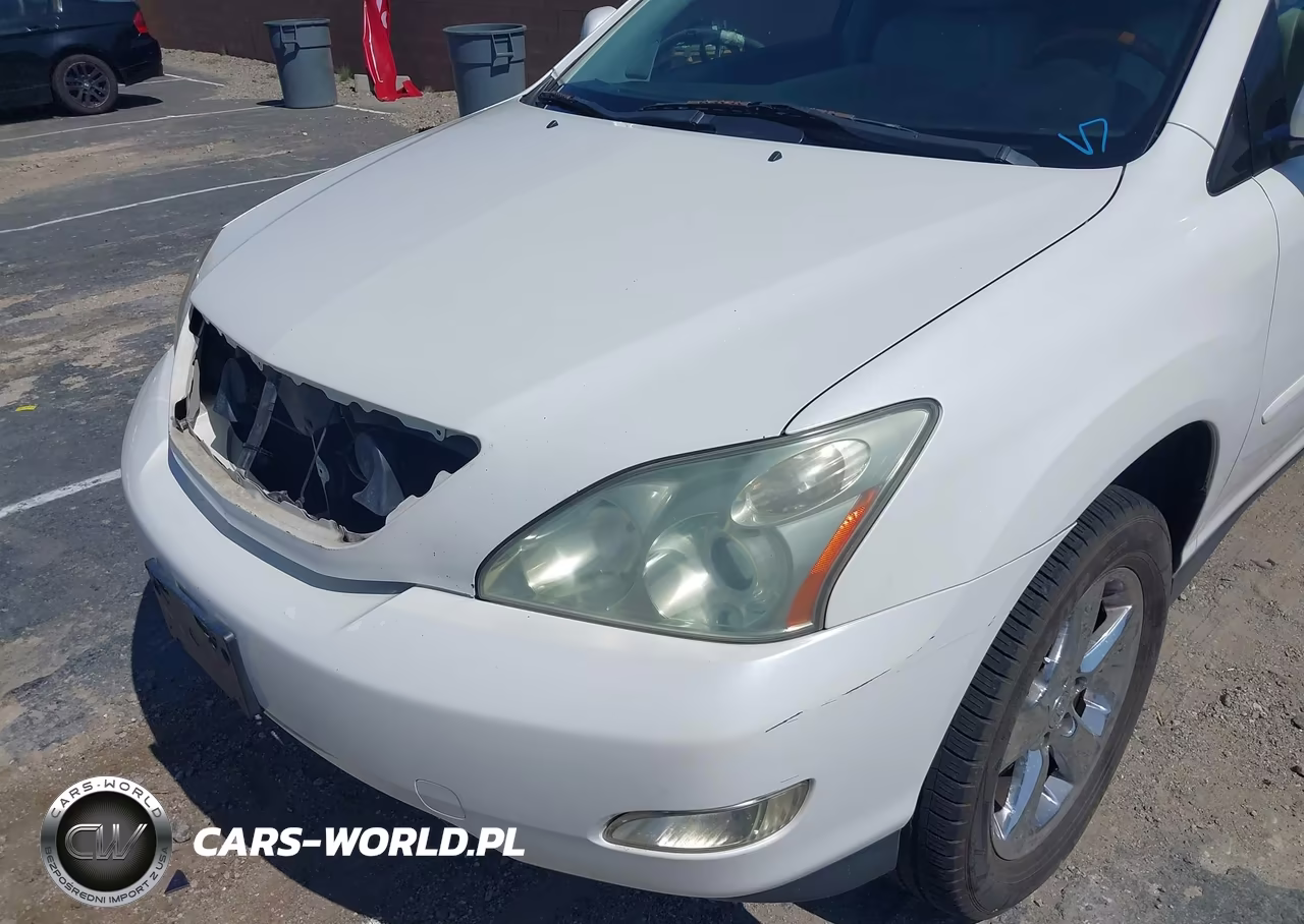 2004 Lexus Rx 330 VIN:JTJGA31U340009809 - 14