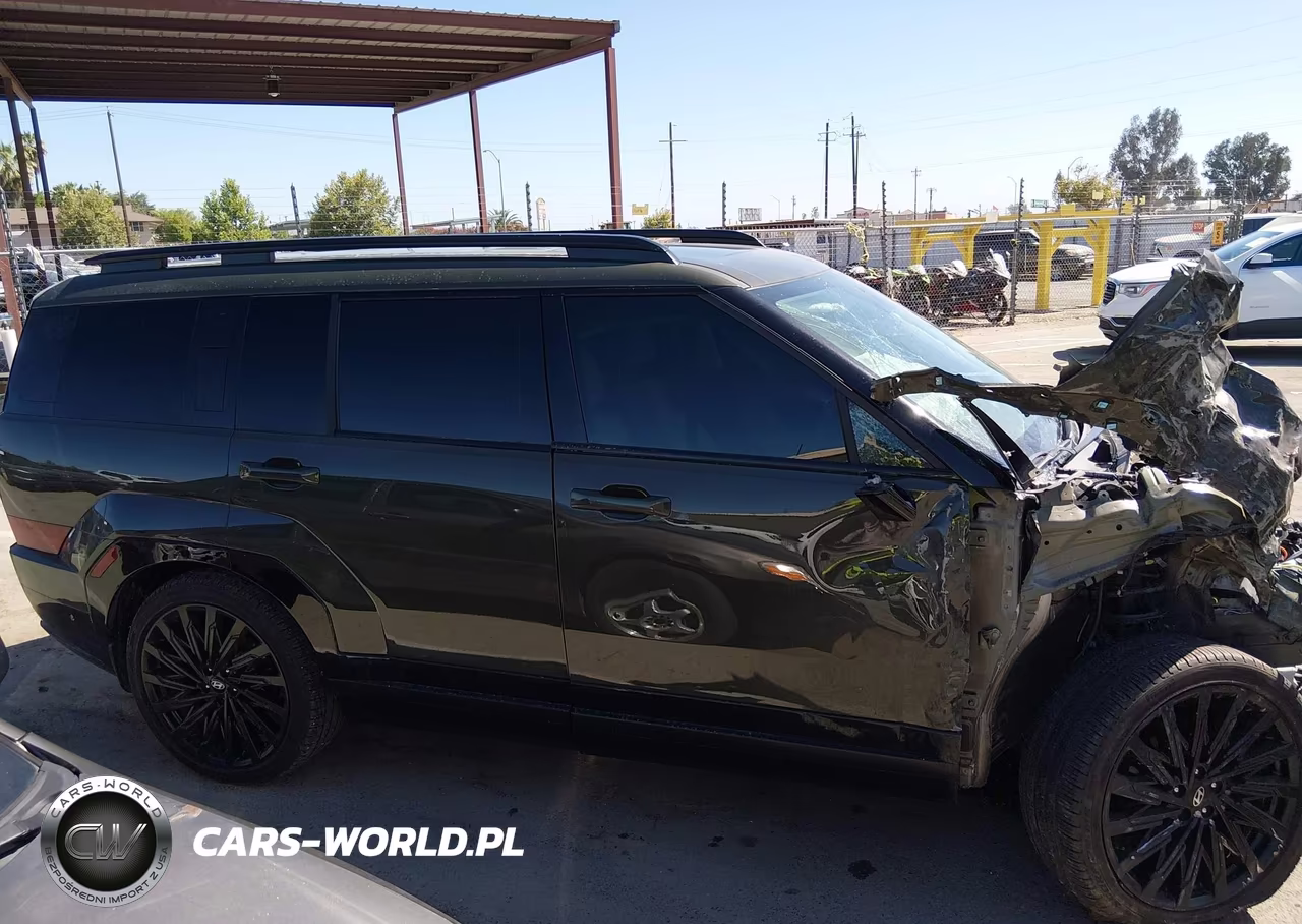 2025 Hyundai Santa Fe Calligraphy VIN:5NMP5DGL2SH096806 - 13