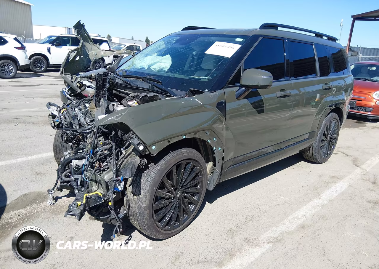 2025 Hyundai Santa Fe Calligraphy VIN:5NMP5DGL2SH096806 - 2