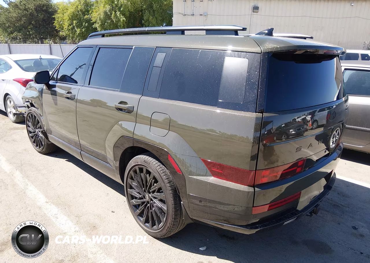2025 Hyundai Santa Fe Calligraphy VIN:5NMP5DGL2SH096806 - 3