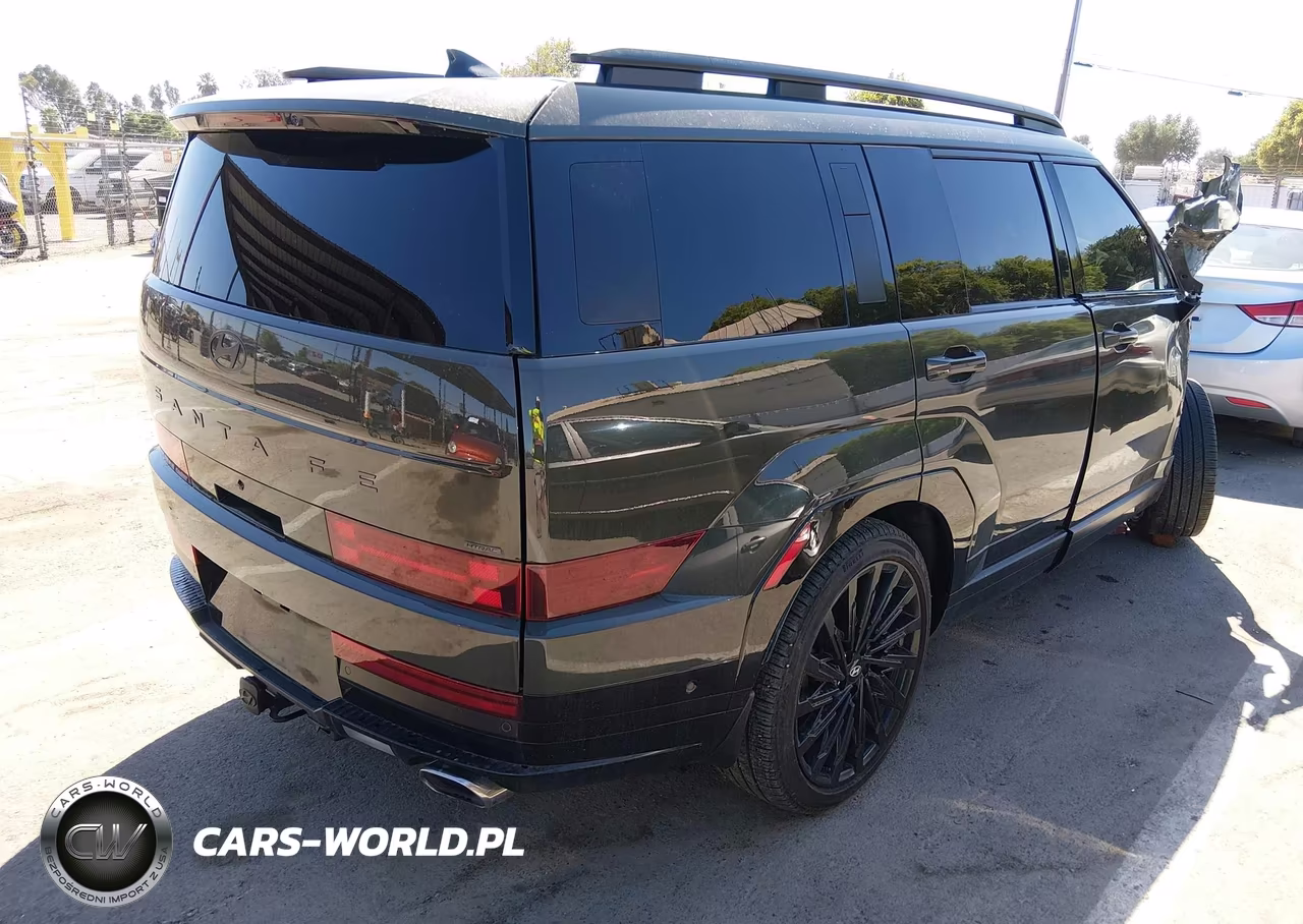 2025 Hyundai Santa Fe Calligraphy VIN:5NMP5DGL2SH096806 - 4