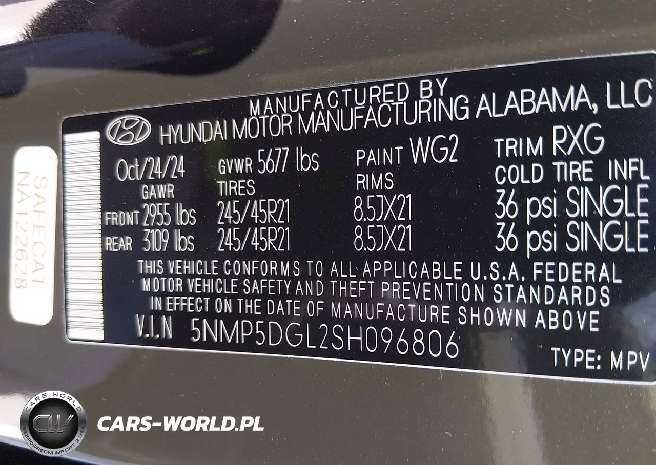 2025 Hyundai Santa Fe Calligraphy VIN:5NMP5DGL2SH096806 - 9