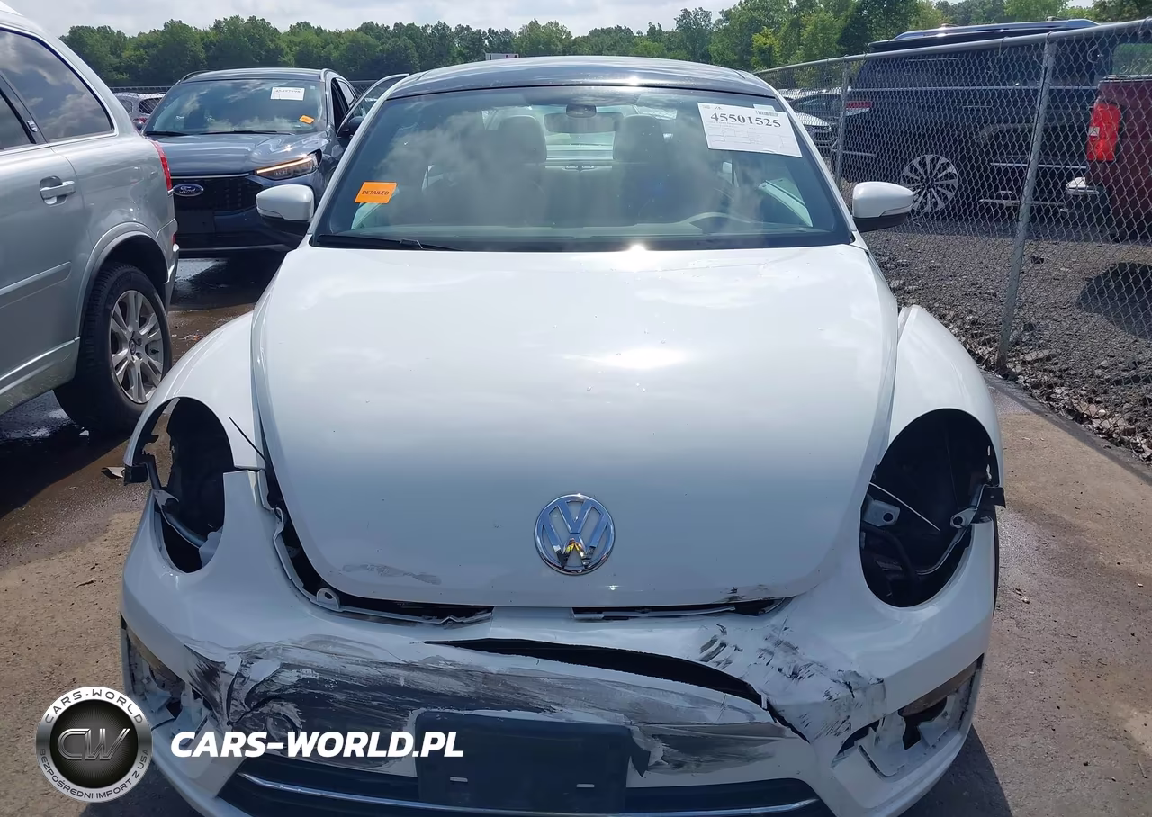 2019 Volkswagen Beetle 2.0T Se VIN:3VWJD7AT4KM713085 - 12