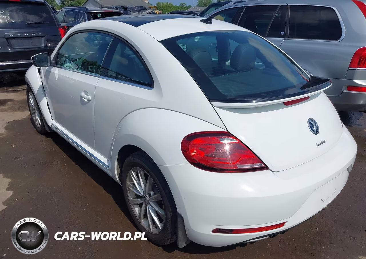 2019 Volkswagen Beetle 2.0T Se VIN:3VWJD7AT4KM713085 - 3