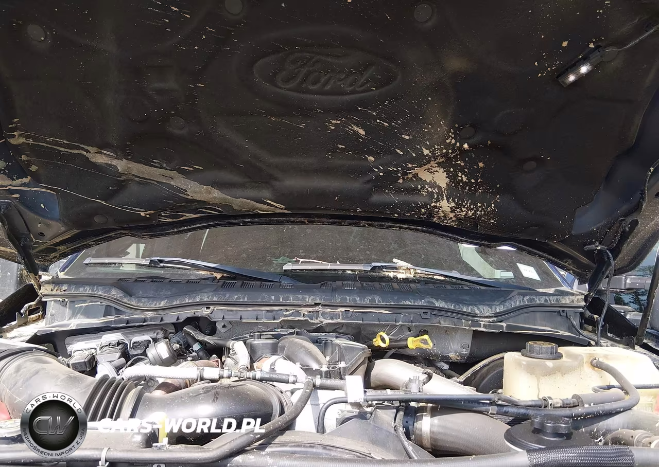 2019 Ford F-250 King Ranch VIN:1FT7W2BT1KED78916 - 10