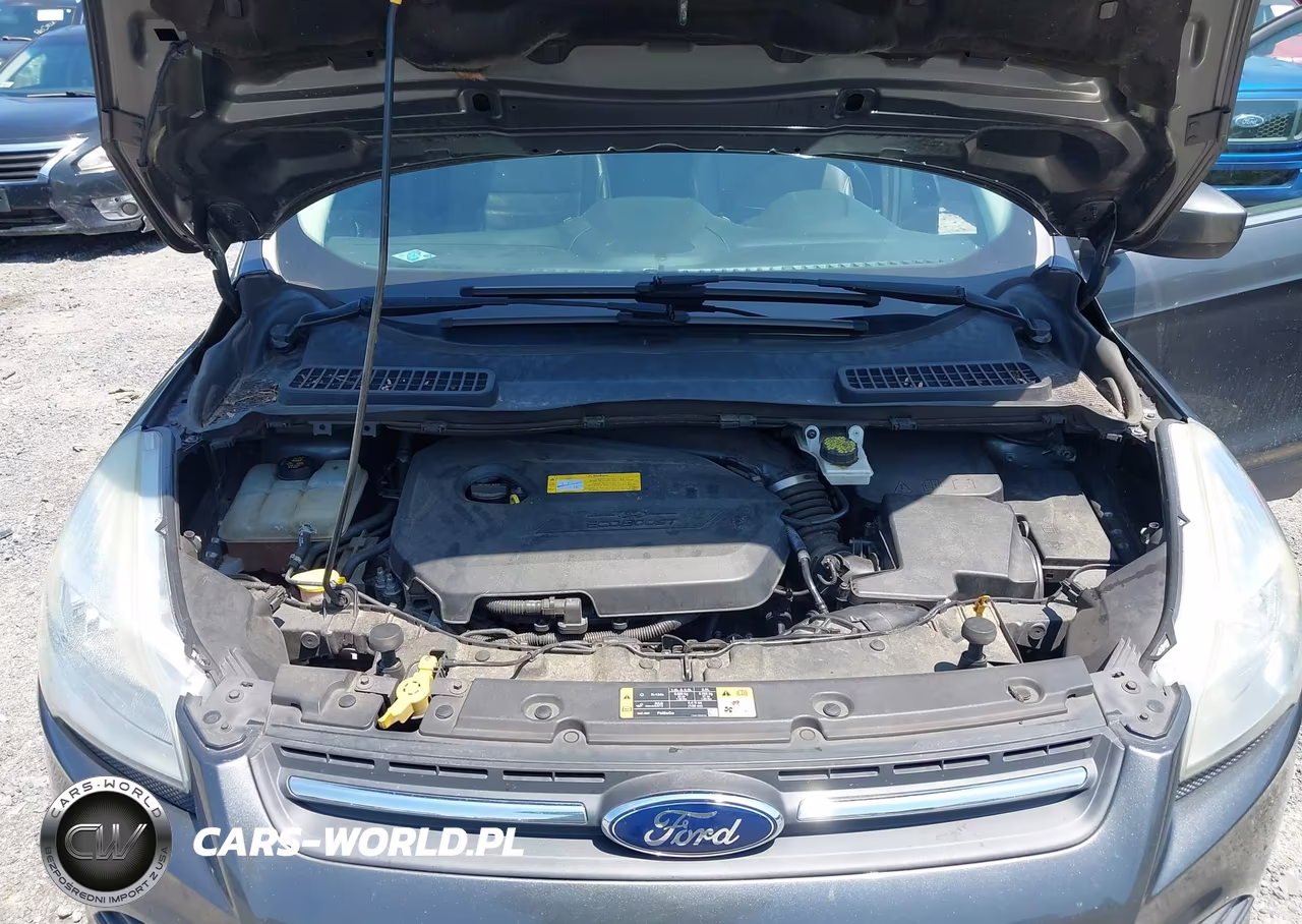 2016 Ford Escape Se VIN:1FMCU0GX5GUC24397 - 10