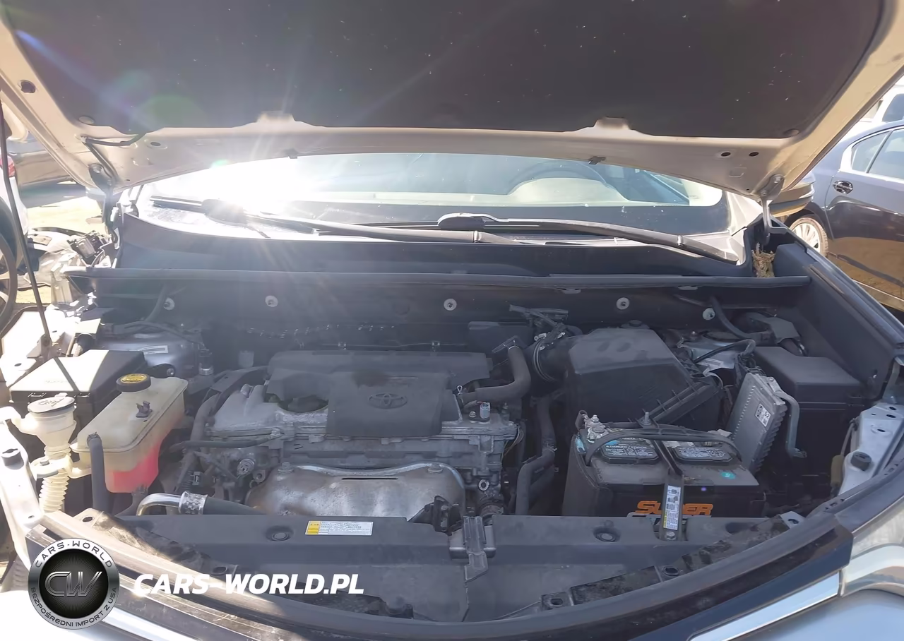 2016 Toyota Rav4 Xle VIN:2T3RFREV5GW480721 - 10