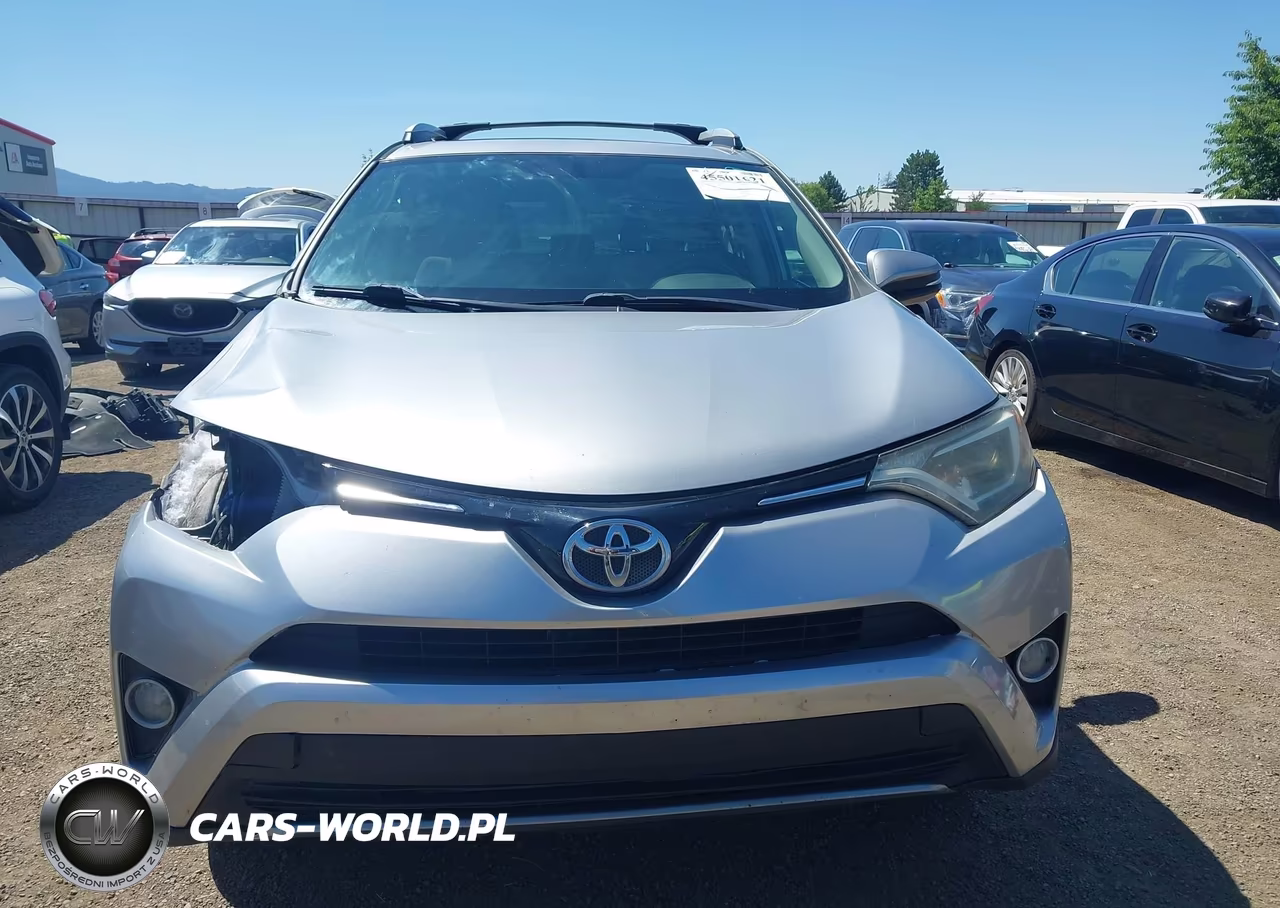 2016 Toyota Rav4 Xle VIN:2T3RFREV5GW480721 - 12