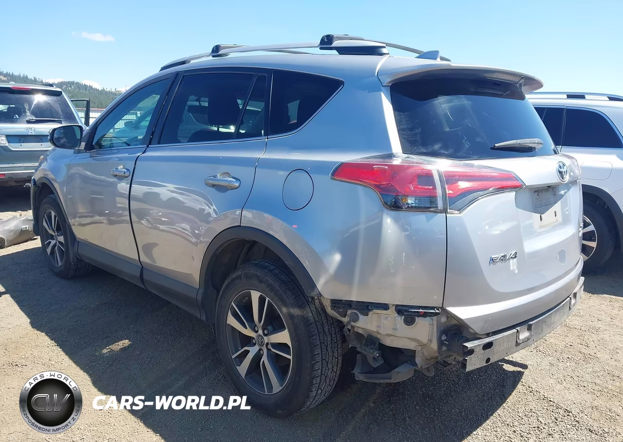 2016 Toyota Rav4 Xle VIN:2T3RFREV5GW480721 - 3