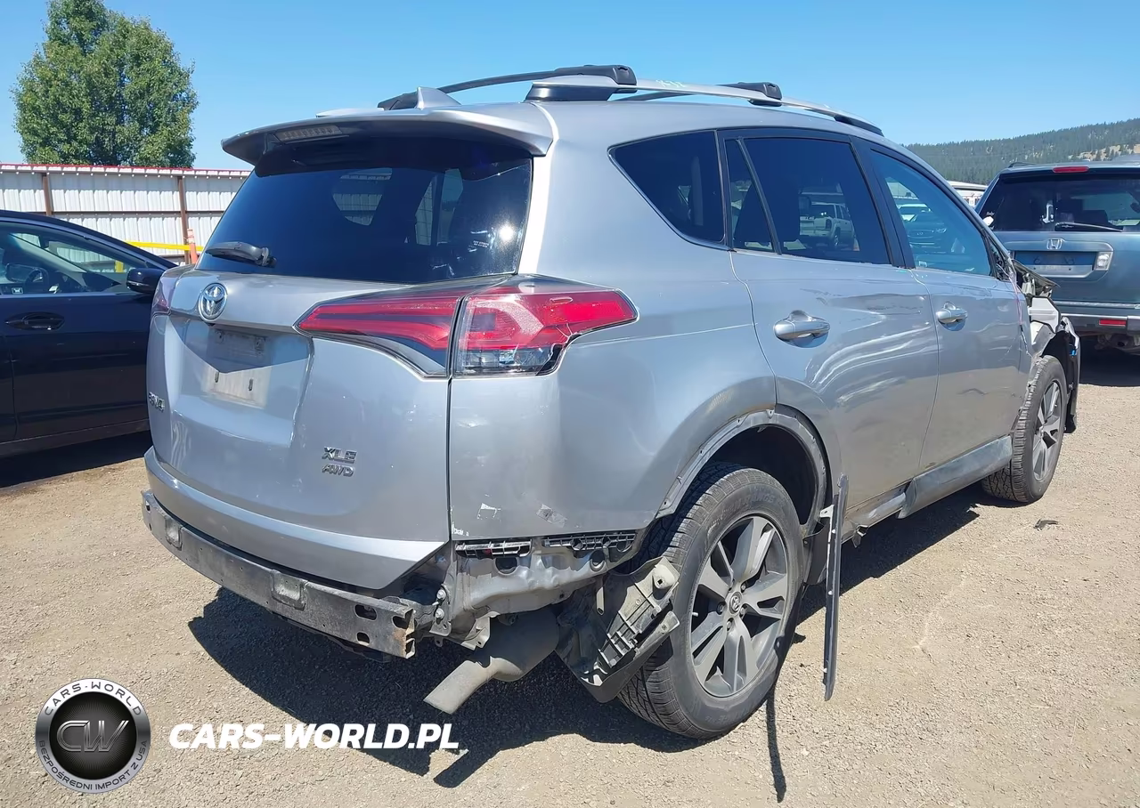 2016 Toyota Rav4 Xle VIN:2T3RFREV5GW480721 - 4