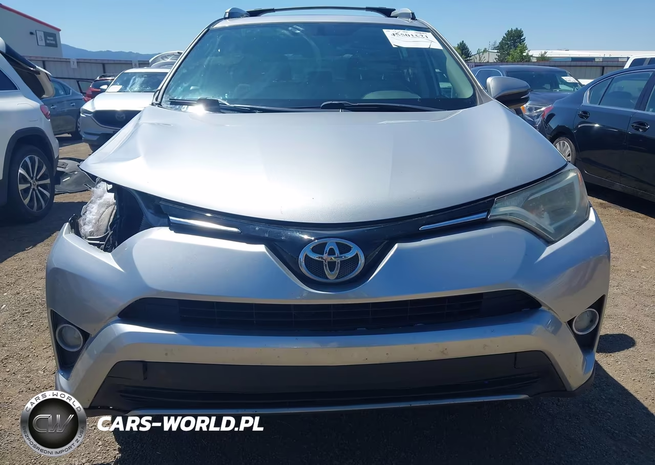 2016 Toyota Rav4 Xle VIN:2T3RFREV5GW480721 - 6