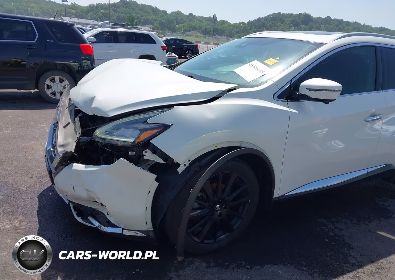 2020 Nissan Murano Platinum Intelligent Awd VIN:5N1AZ2DS4LN162685 - 20