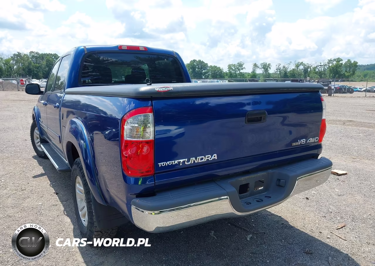 2005 Toyota Tundra Sr5 V8 VIN:5TBDT44195S482063 - 6