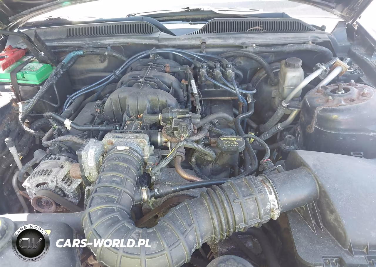 2009 Ford Mustang V6-V6 Premium VIN:1ZVHT80N195135358 - 10