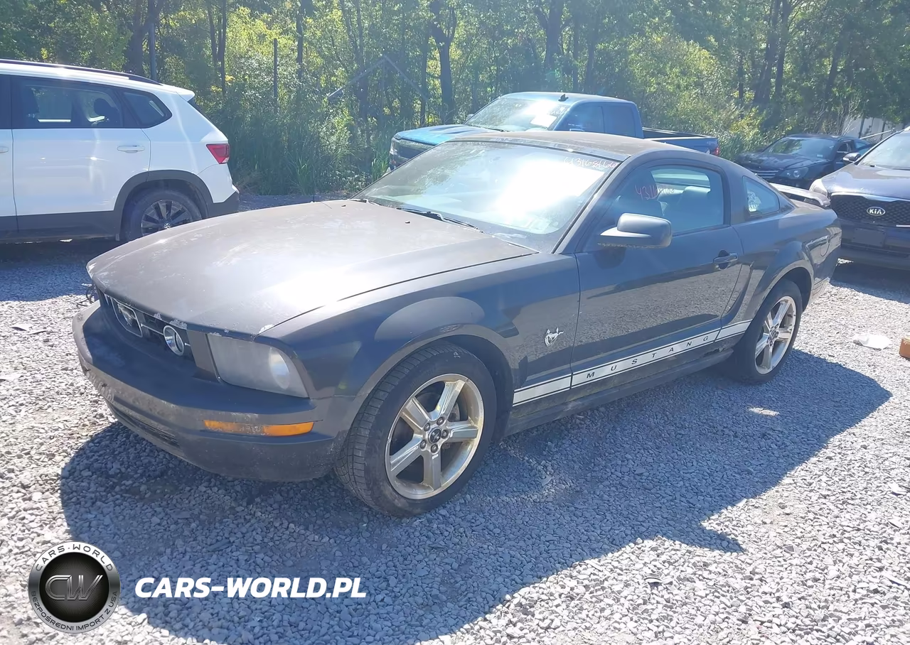2009 Ford Mustang V6-V6 Premium VIN:1ZVHT80N195135358 - 2