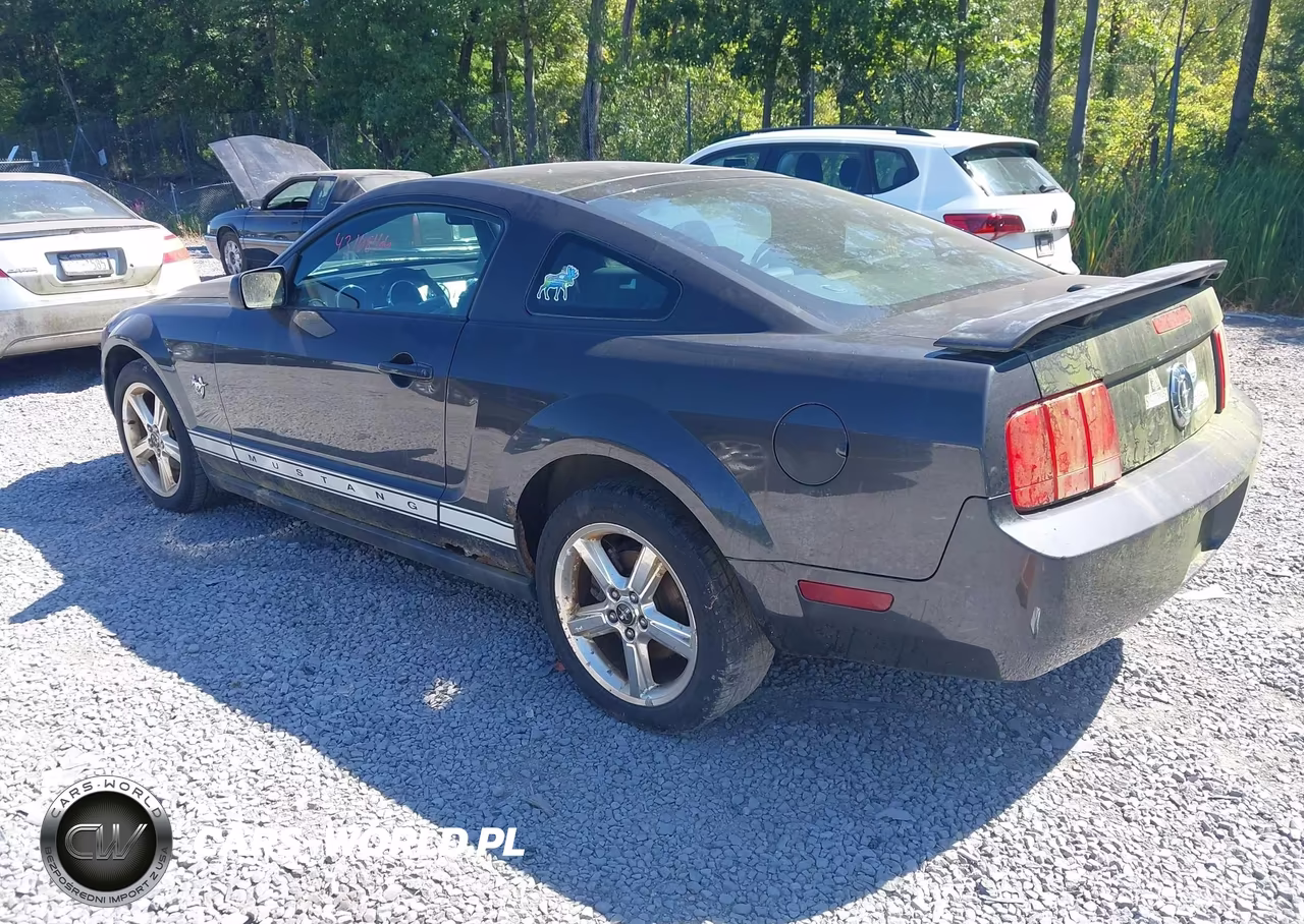 2009 Ford Mustang V6-V6 Premium VIN:1ZVHT80N195135358 - 3