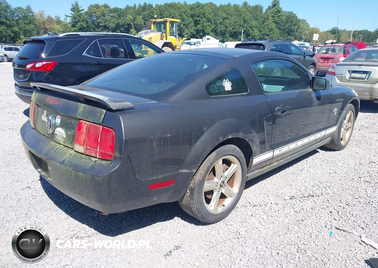2009 Ford Mustang V6-V6 Premium VIN:1ZVHT80N195135358 - 4