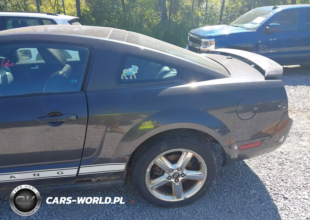 2009 Ford Mustang V6-V6 Premium VIN:1ZVHT80N195135358 - 6