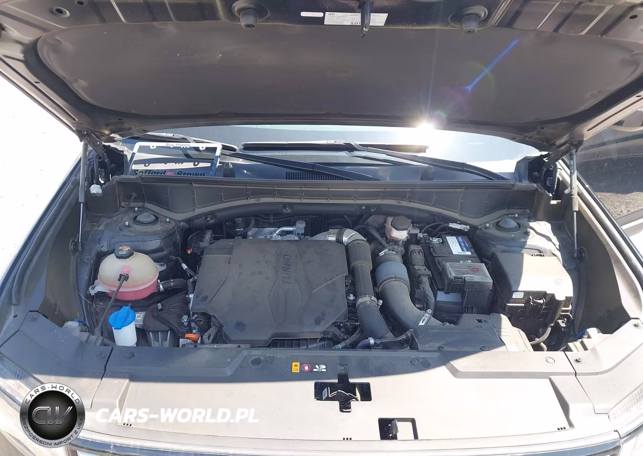 2024 Hyundai Santa Fe Sel VIN:5NMP2DGL8RH002947 - 10