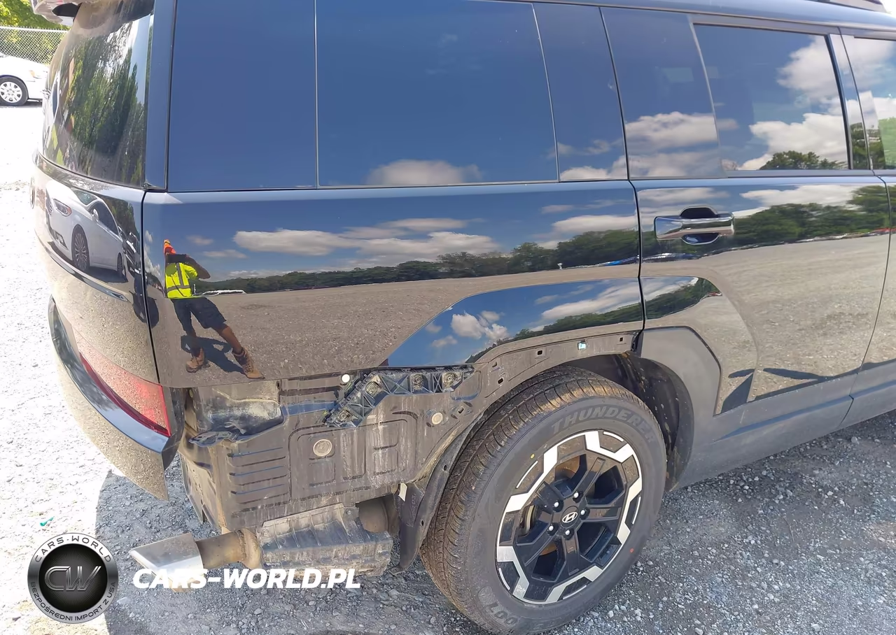 2024 Hyundai Santa Fe Sel VIN:5NMP2DGL8RH002947 - 21