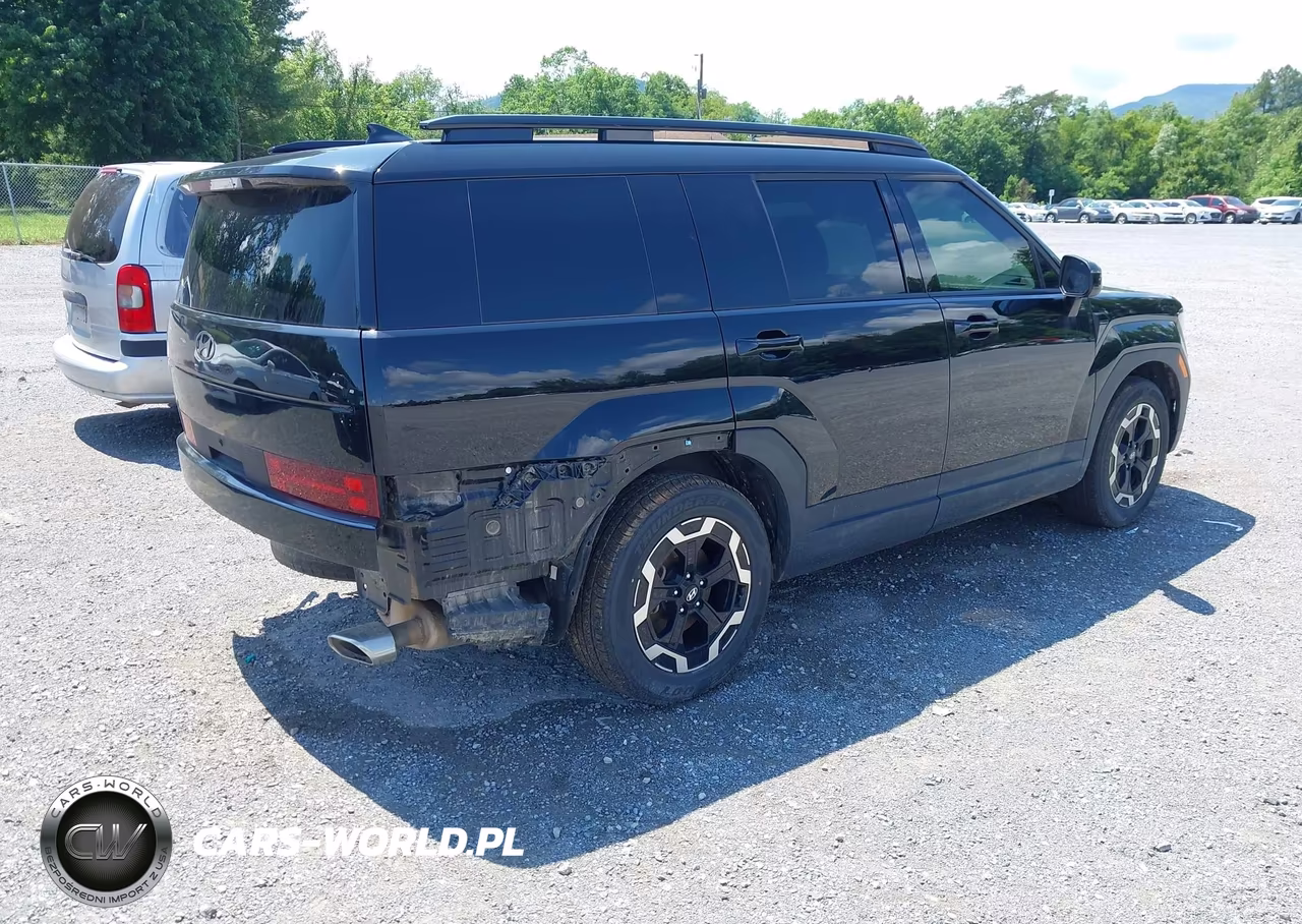 2024 Hyundai Santa Fe Sel VIN:5NMP2DGL8RH002947 - 4
