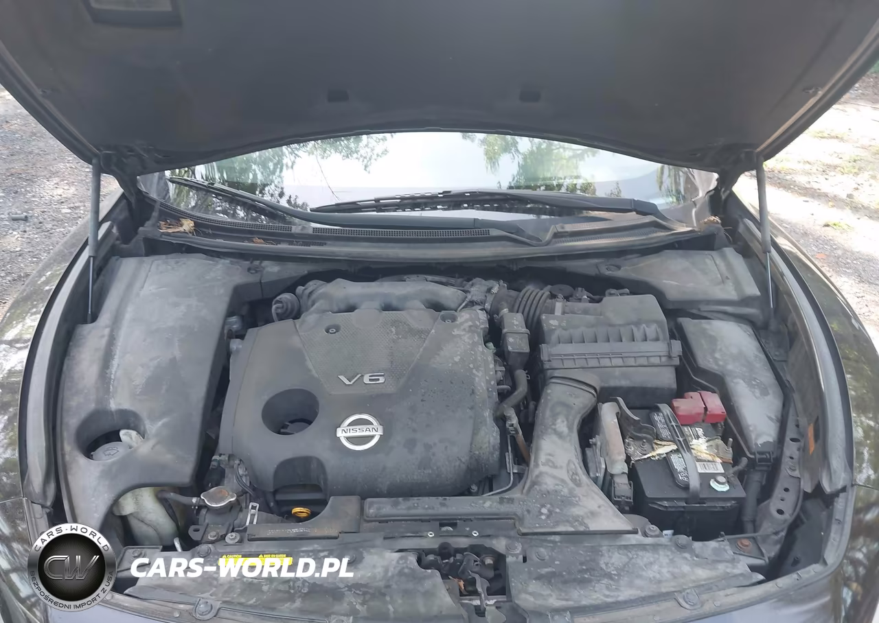2010 Nissan Maxima 3.5 Sv VIN:1N4AA5AP0AC872095 - 10