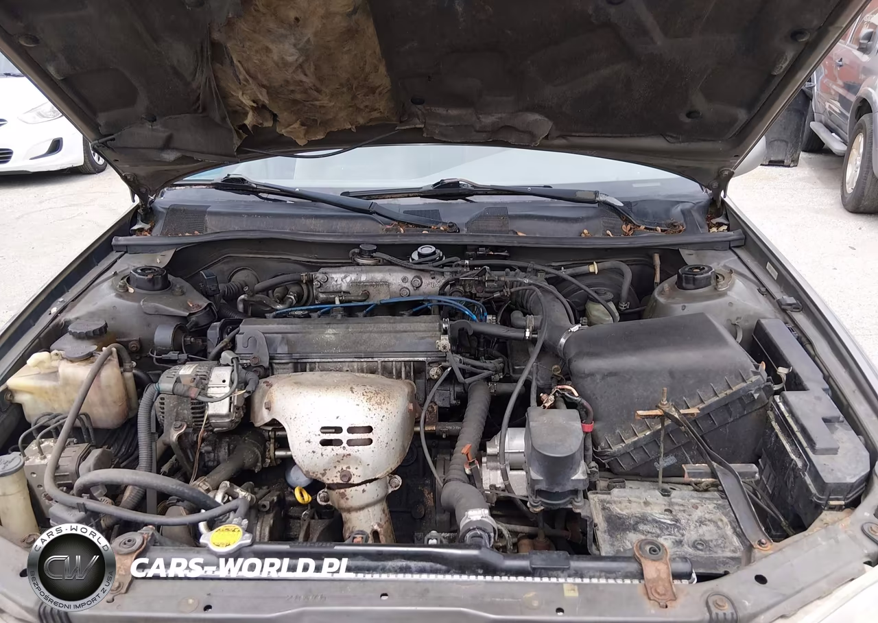 1998 Toyota Camry Le VIN:4T1BG22K5WU380190 - 10