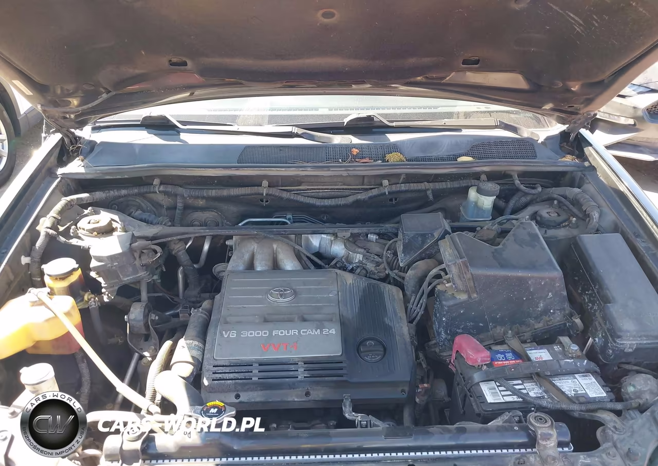 2003 Toyota Highlander V6 VIN:JTEGF21A830120113 - 10