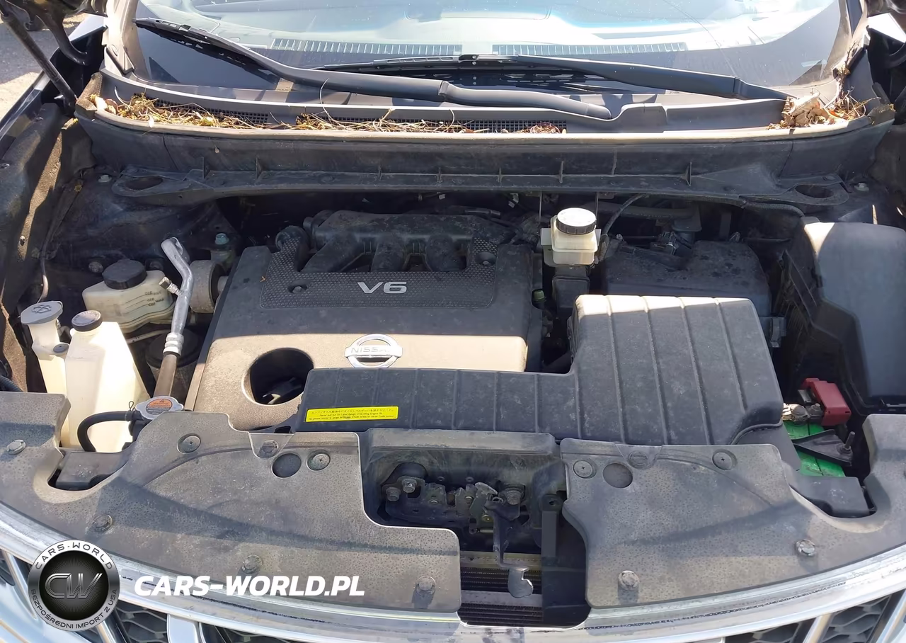 2013 Nissan Murano S VIN:JN8AZ1MW7DW319109 - 10