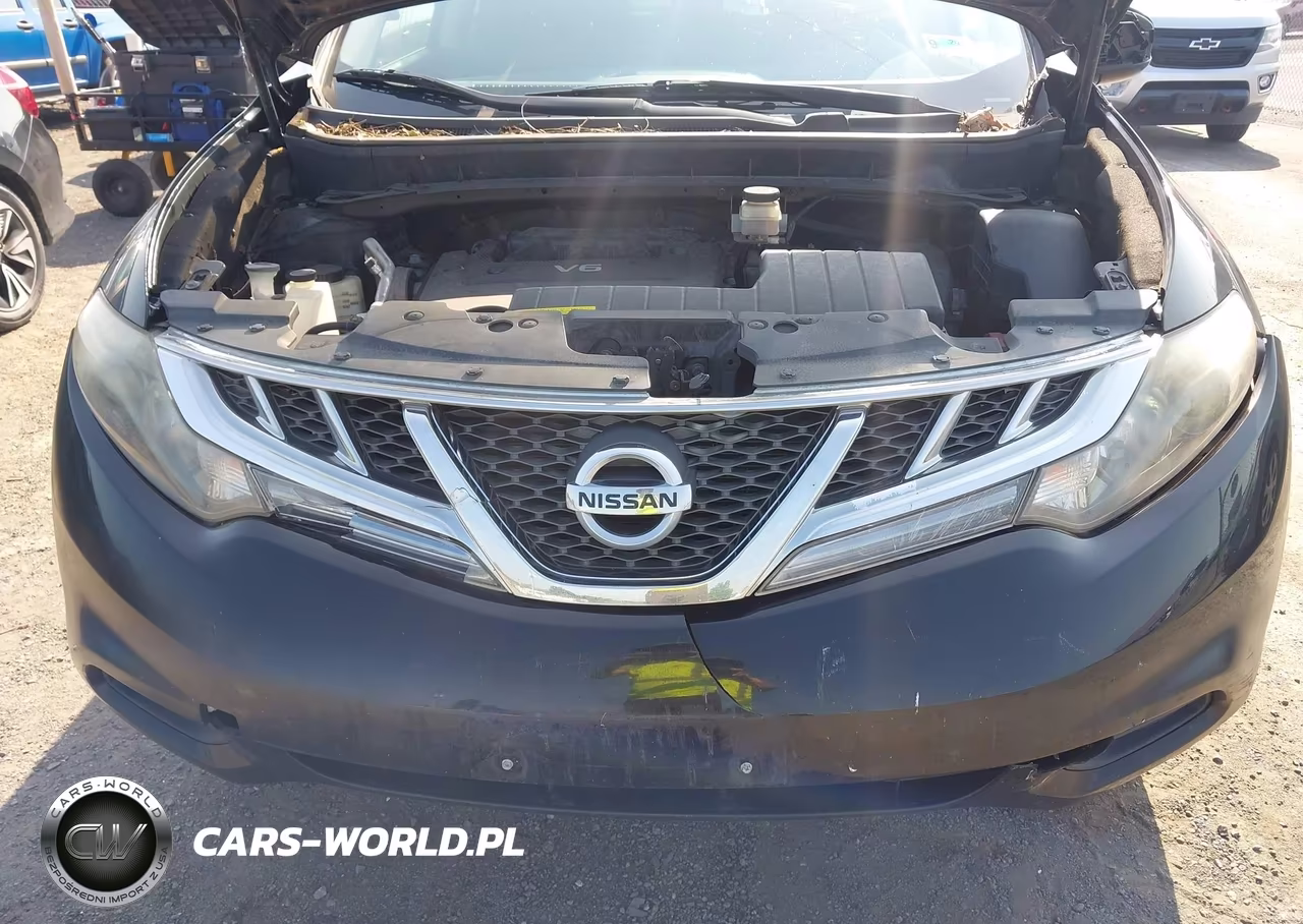 2013 Nissan Murano S VIN:JN8AZ1MW7DW319109 - 12