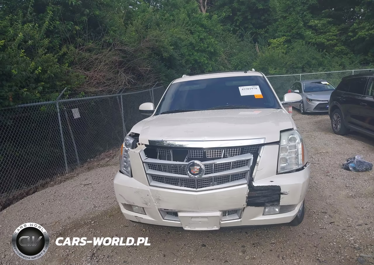 2013 Cadillac Escalade Esv Platinum Edition VIN:1GYS4KEF6DR101917 - 12