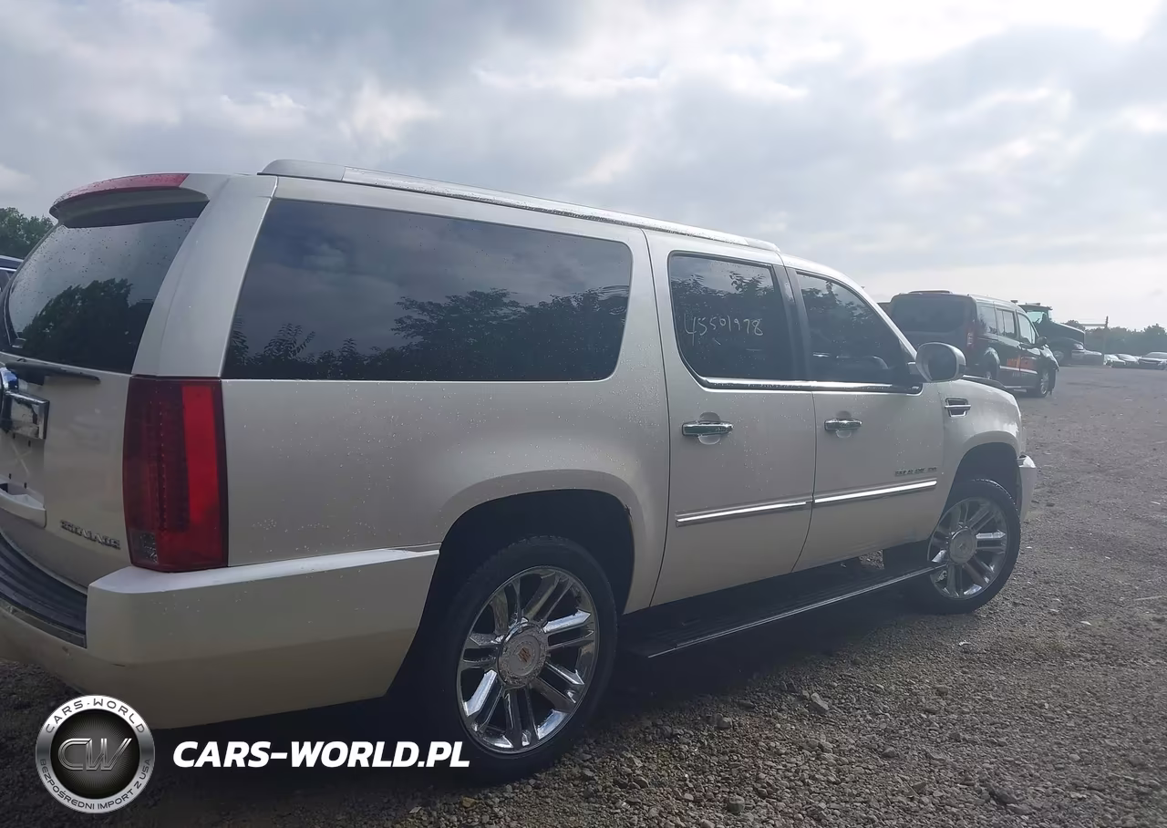 2013 Cadillac Escalade Esv Platinum Edition VIN:1GYS4KEF6DR101917 - 13