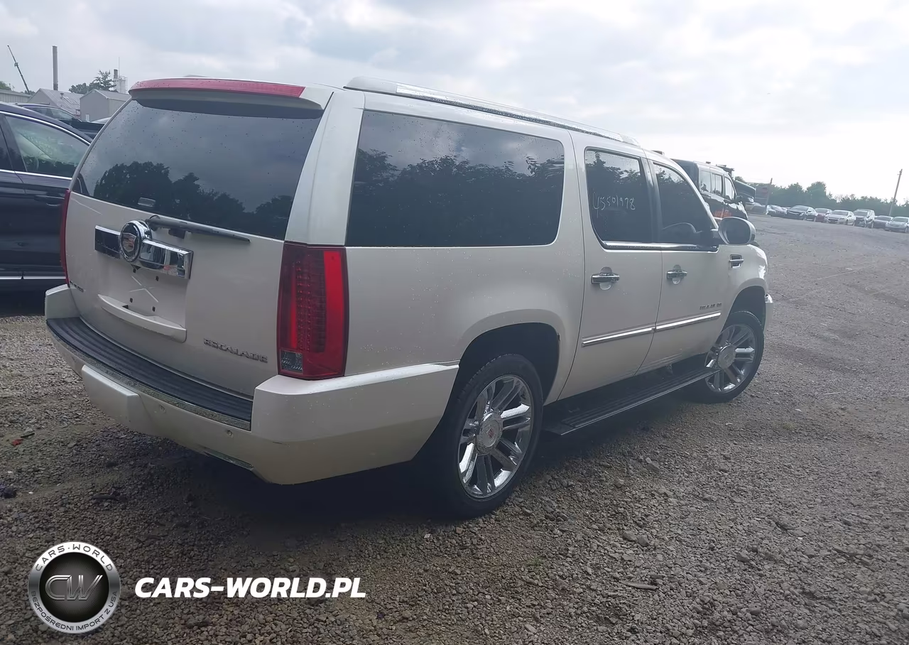 2013 Cadillac Escalade Esv Platinum Edition VIN:1GYS4KEF6DR101917 - 4