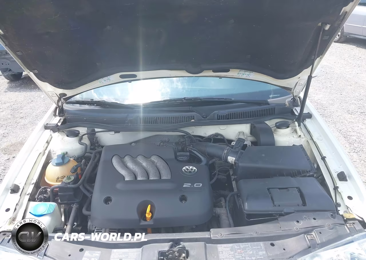 1999 Volkswagen New Jetta Gl VIN:3VWRA29M5XM015815 - 10