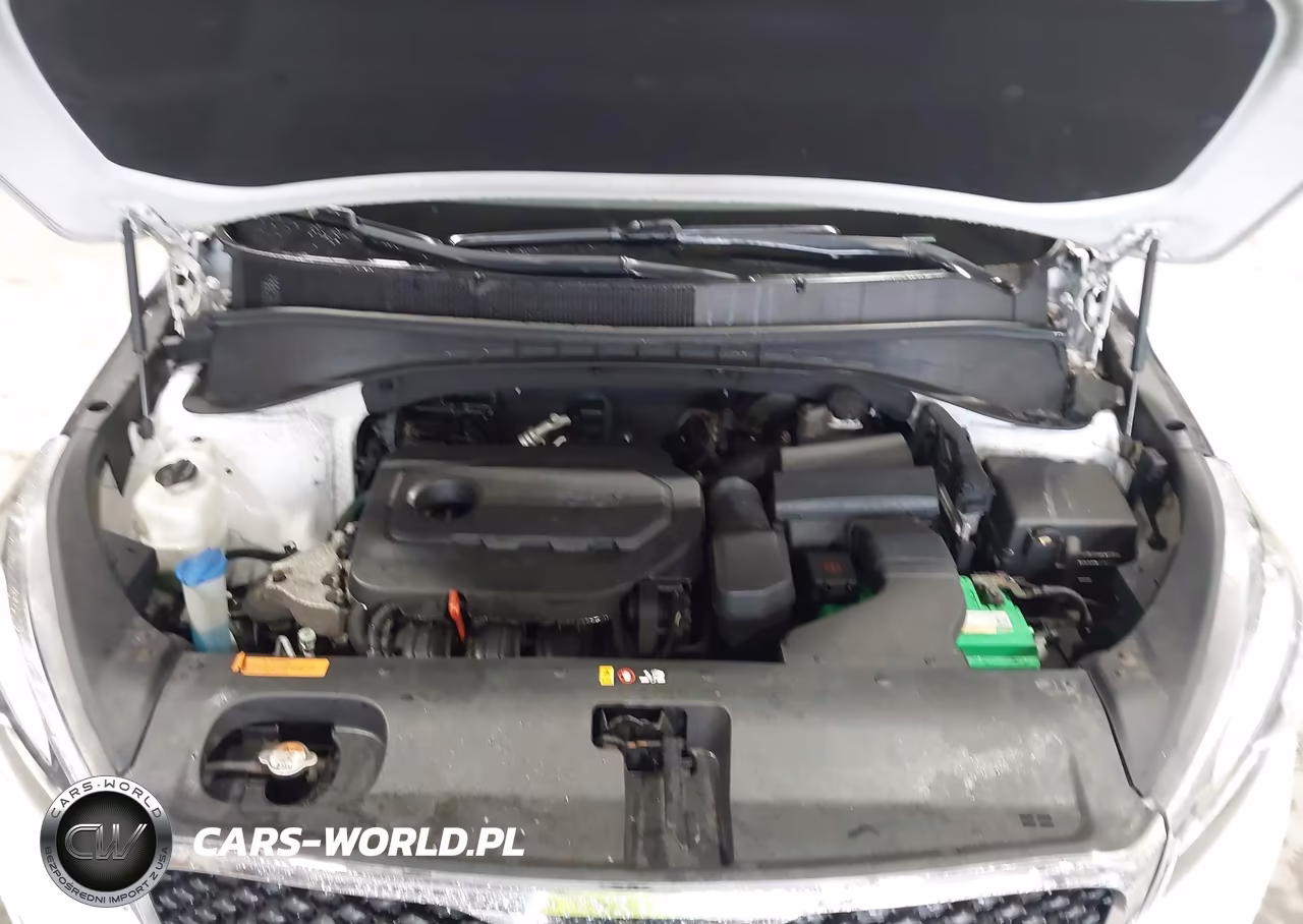 2016 Kia Sorento 2.4L Lx VIN:5XYPGDA30GG132559 - 10