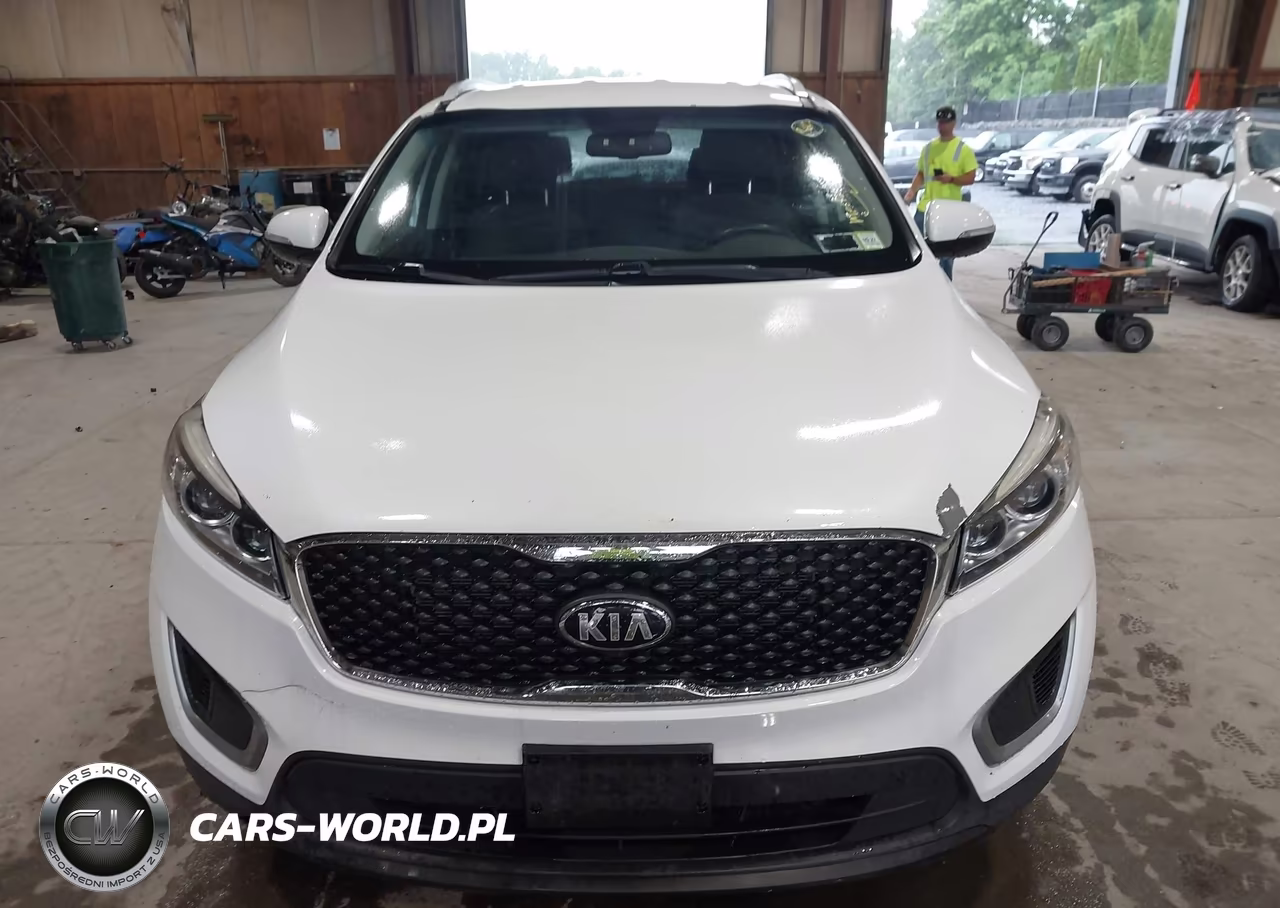 2016 Kia Sorento 2.4L Lx VIN:5XYPGDA30GG132559 - 12