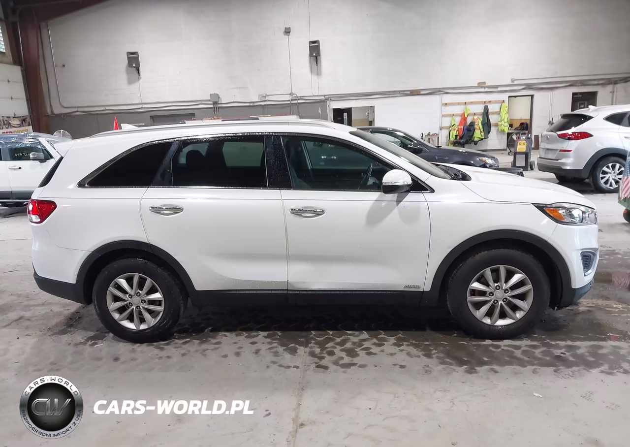 2016 Kia Sorento 2.4L Lx VIN:5XYPGDA30GG132559 - 13