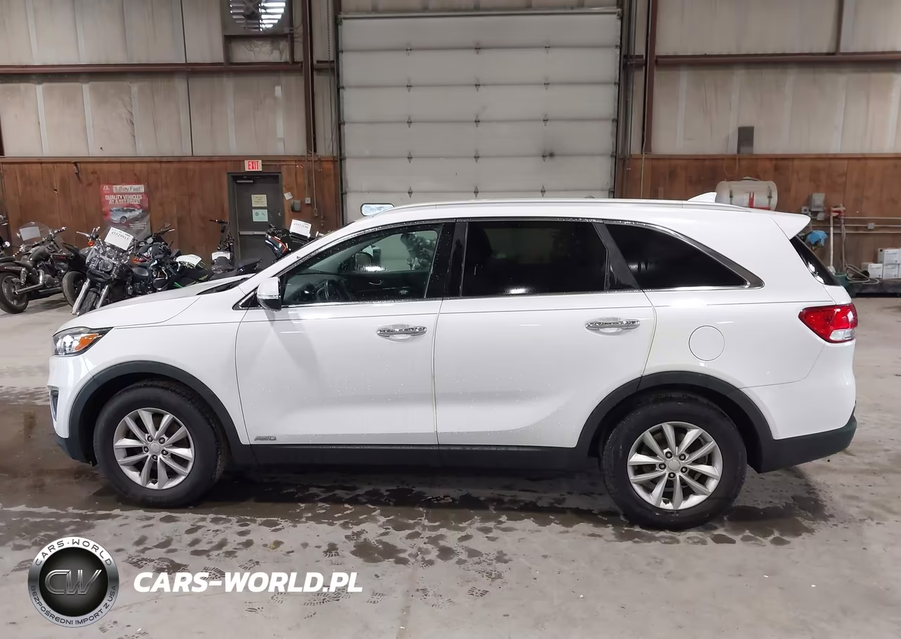 2016 Kia Sorento 2.4L Lx VIN:5XYPGDA30GG132559 - 14