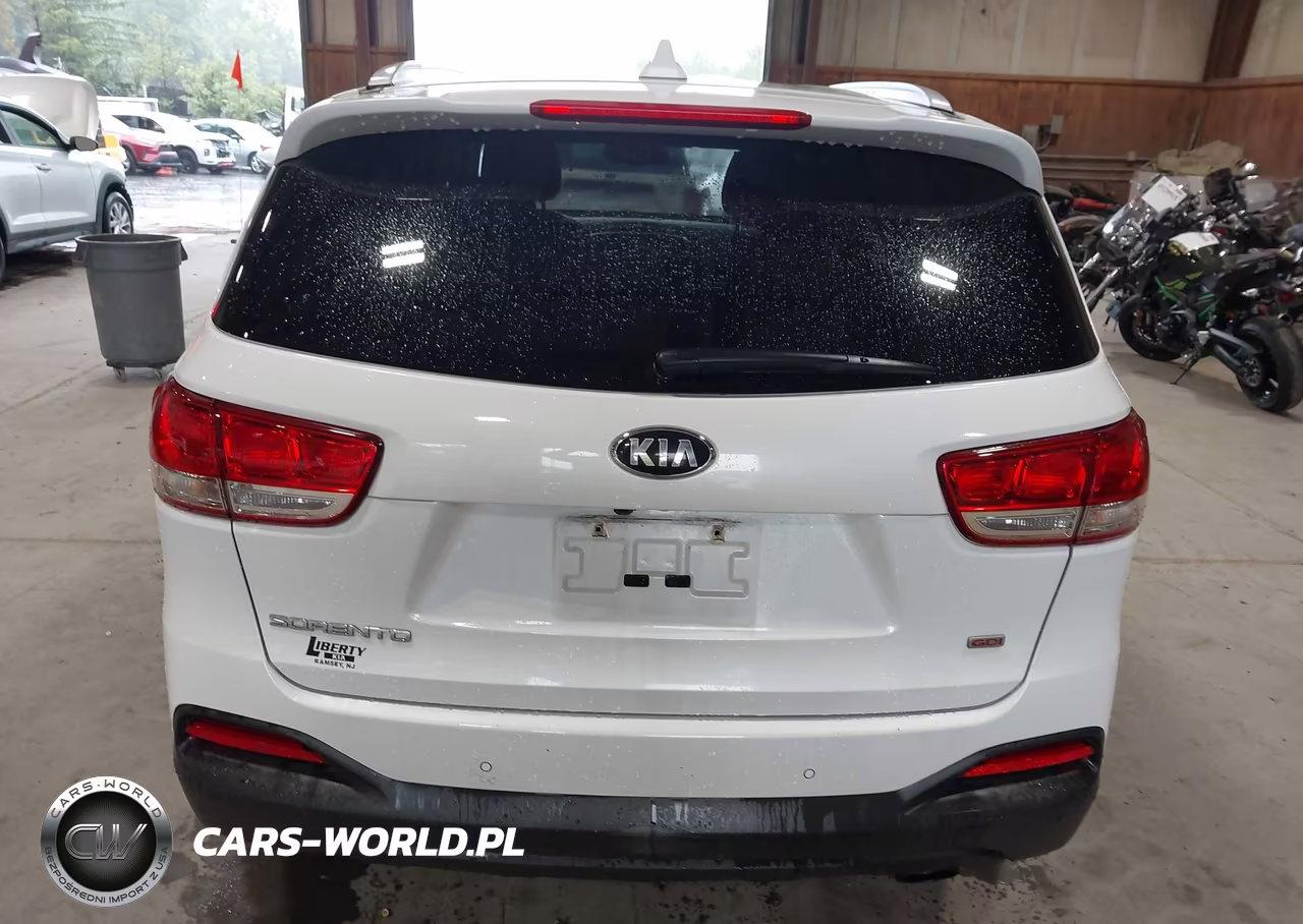 2016 Kia Sorento 2.4L Lx VIN:5XYPGDA30GG132559 - 16