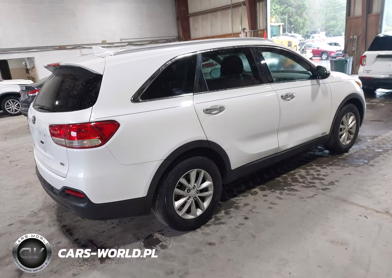 2016 Kia Sorento 2.4L Lx VIN:5XYPGDA30GG132559 - 4
