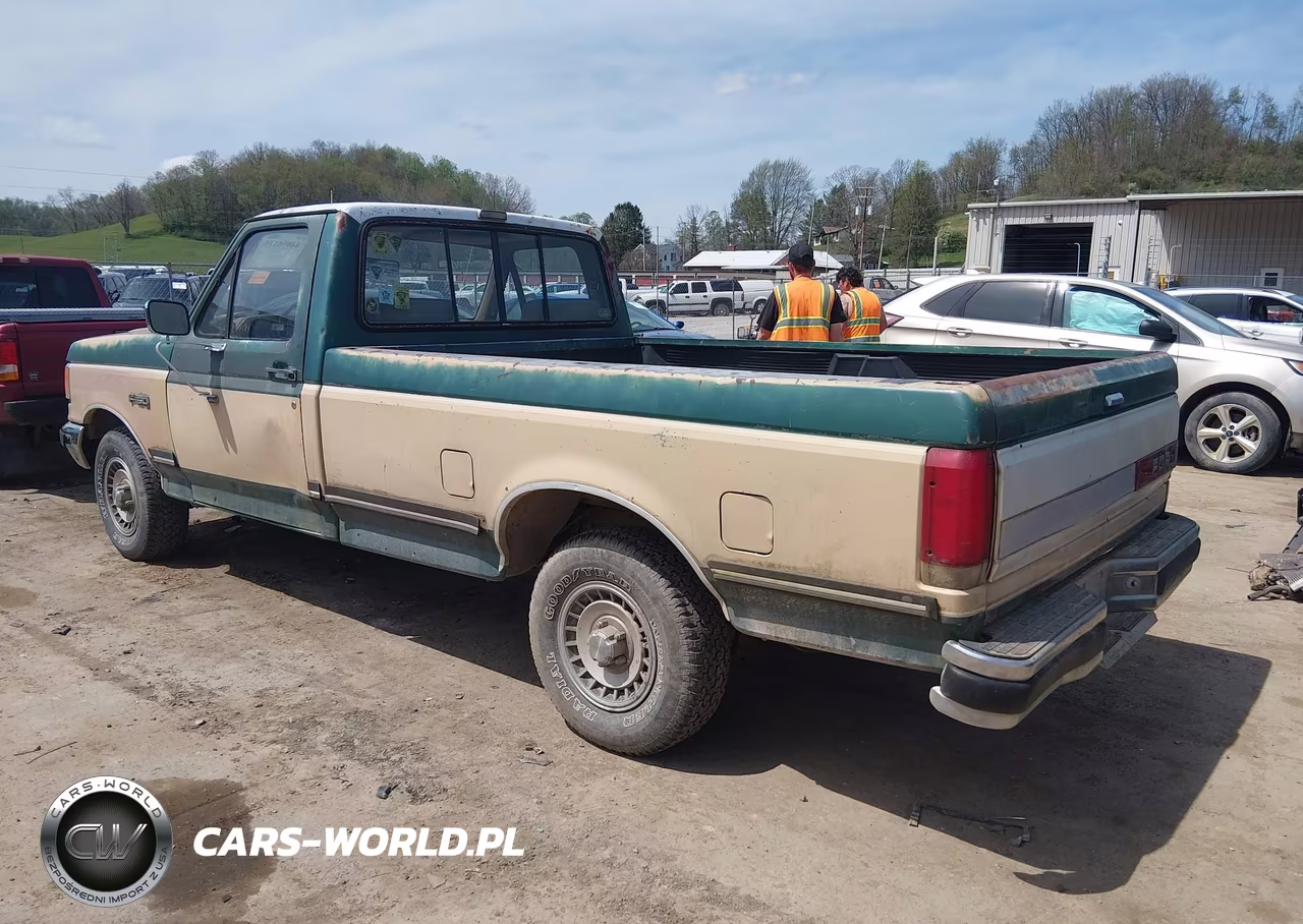 1989 Ford F150 VIN:1FTDF15NXKNA12818 - 3