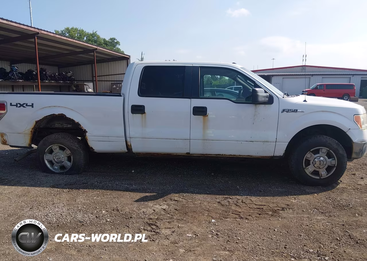 2009 Ford F-150 Fx4-King Ranch-Lariat-Platinum-Xl-Xlt VIN:1FTPW14V89FB07154 - 13
